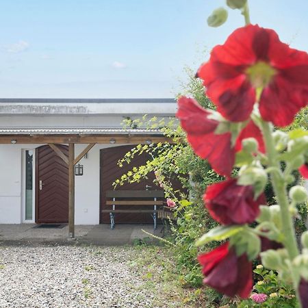 Haus Waldfrieden Ferienhaeuschen Waldfrieden Apartment Хафкруг Екстериор снимка