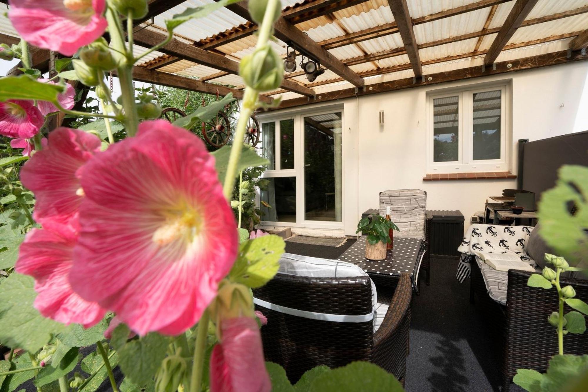 Haus Waldfrieden Ferienhaeuschen Waldfrieden Apartment Хафкруг Екстериор снимка