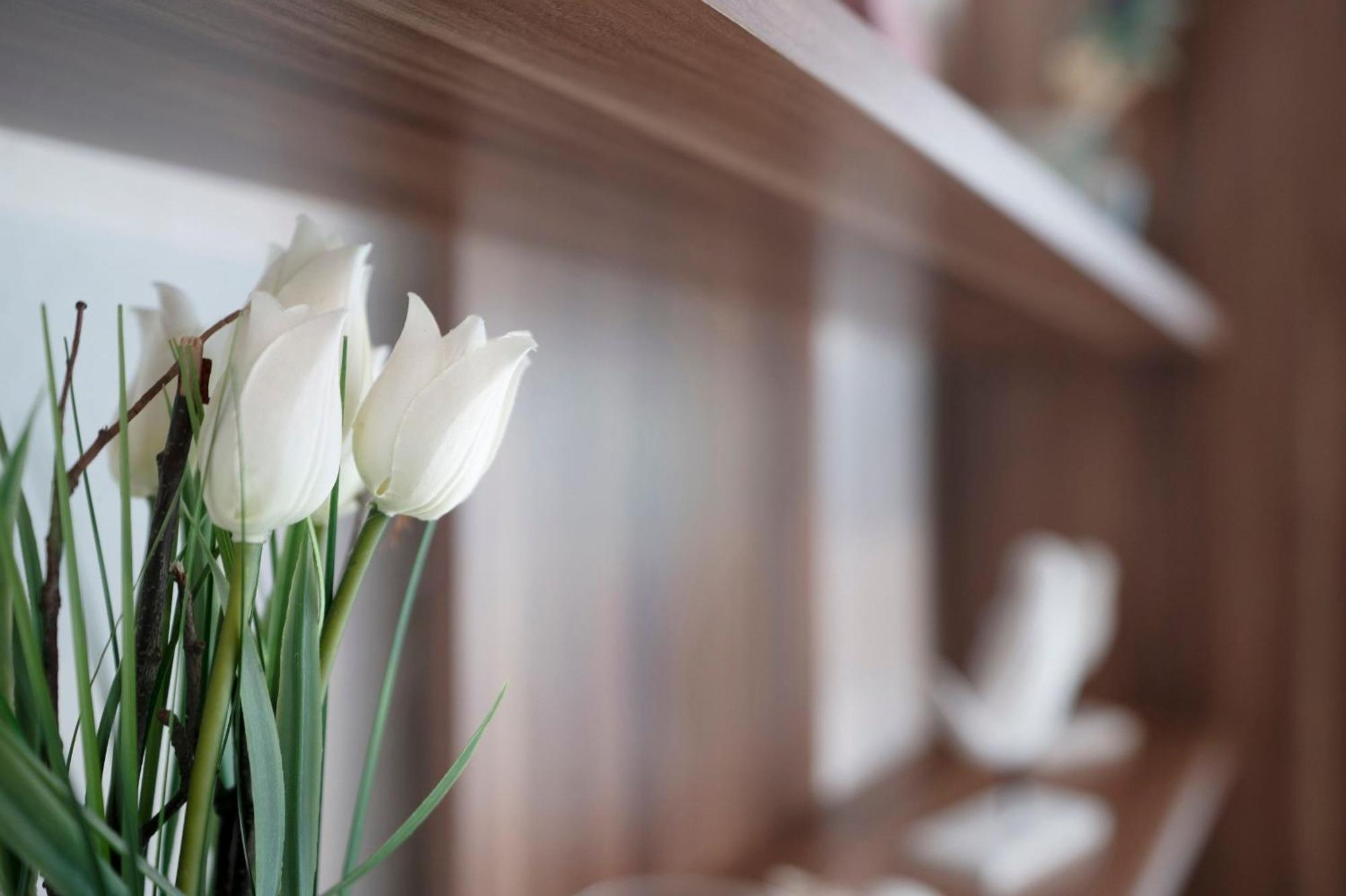 Haus Waldfrieden Ferienhaeuschen Waldfrieden Apartment Хафкруг Екстериор снимка